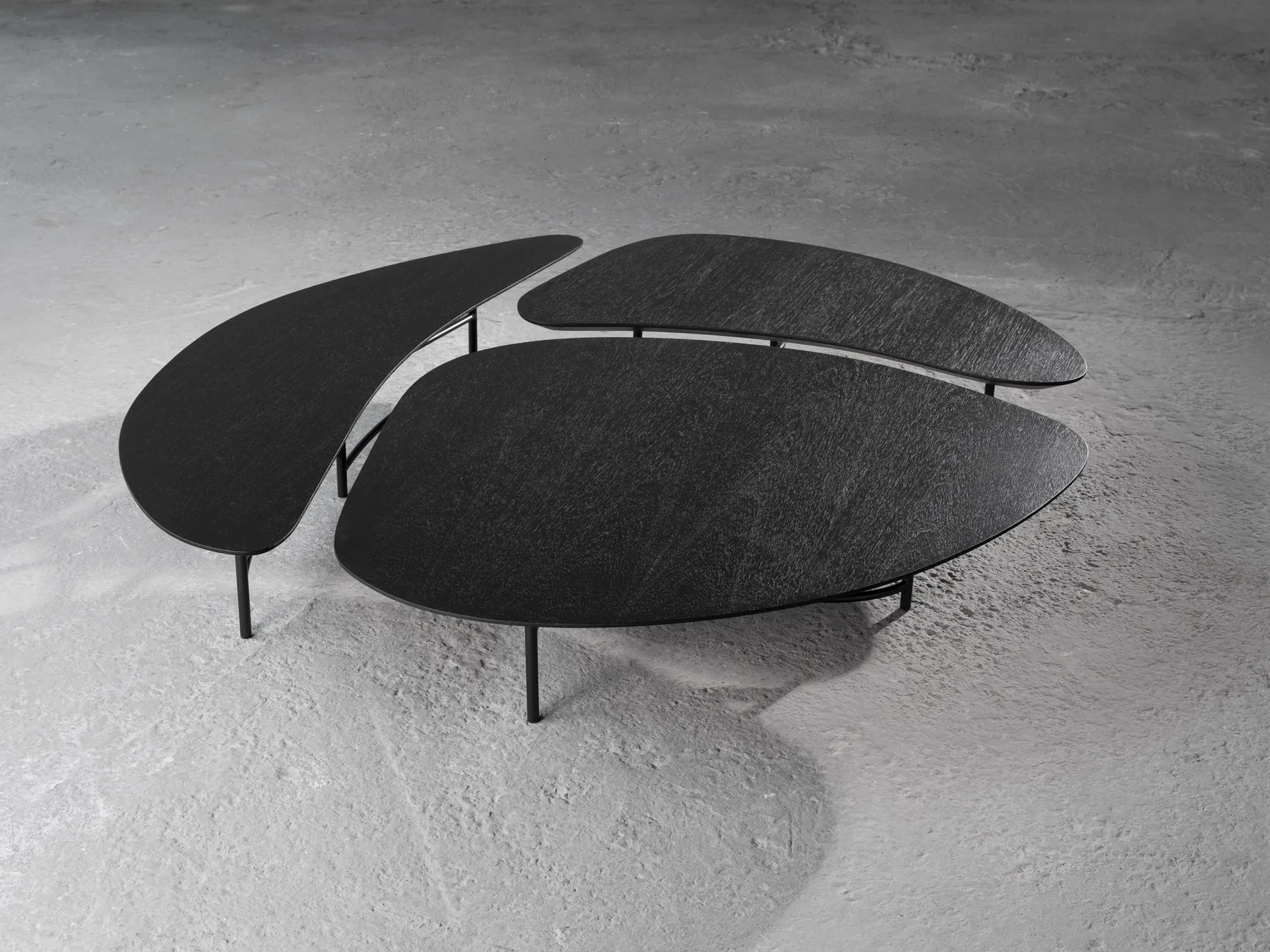 Calder — imagem 2